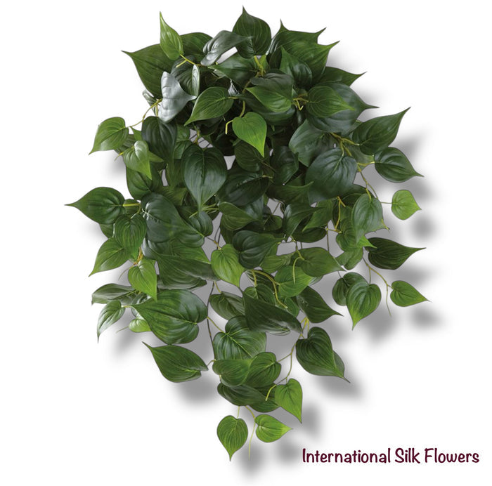 24" Heart-Leaf Philodendron Hanging Bush ( PBP249-GR )