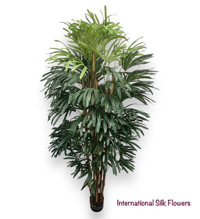 7' Rhaphis Palm Tree ( INT7950 )
