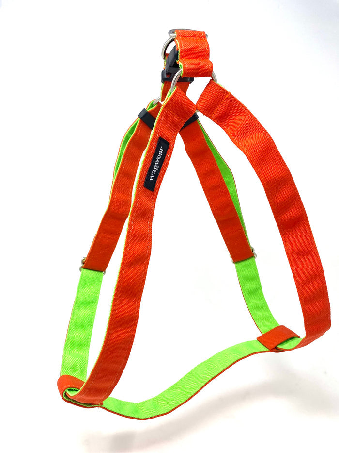 Cordura Step-In Harness