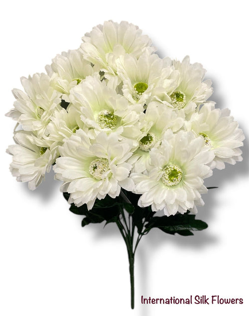 19'' Gerbera Daisy Bush ( B1414- Cream ) INT1414