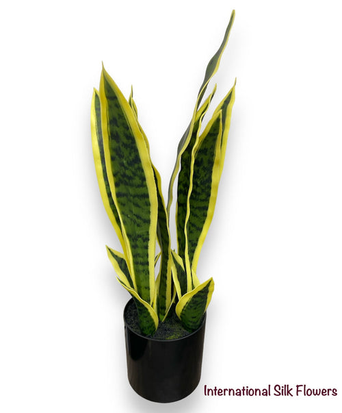 19" Sansevieria ( LPS951-VG )