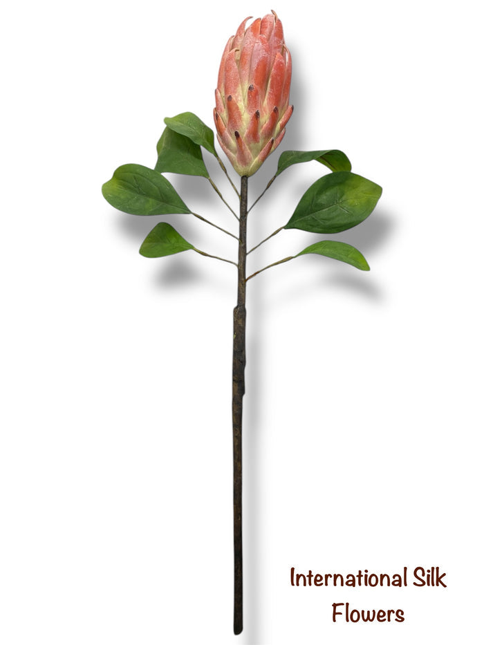 29" Protea Spray ( FSP436-PK/LM )