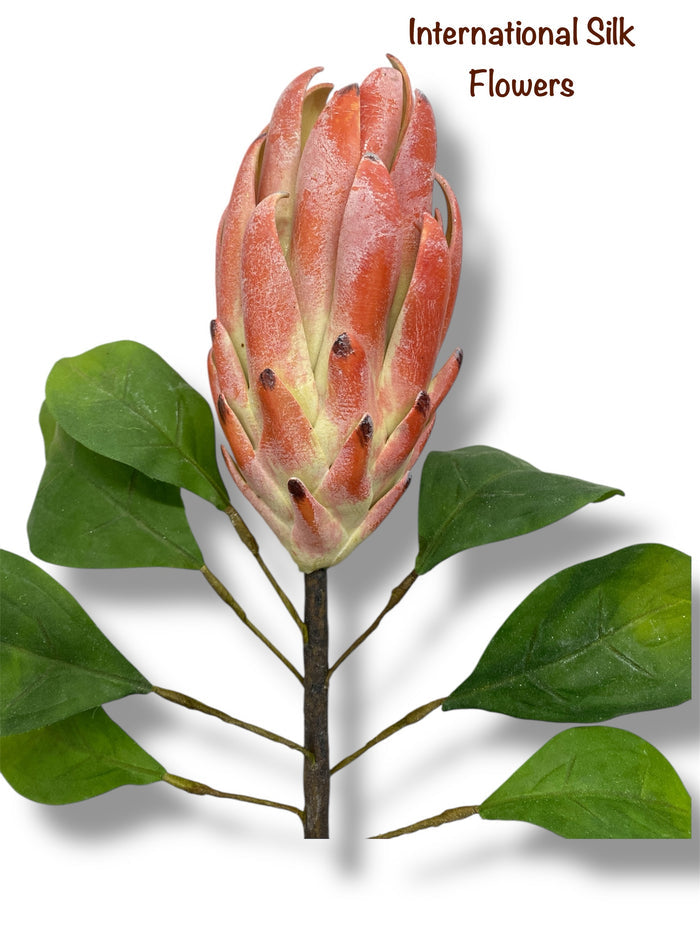 29" Protea Spray ( FSP436-PK/LM )