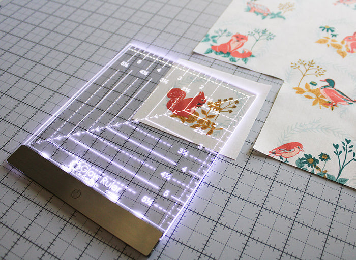 6 Inch Carolina Moore Glow Ruler