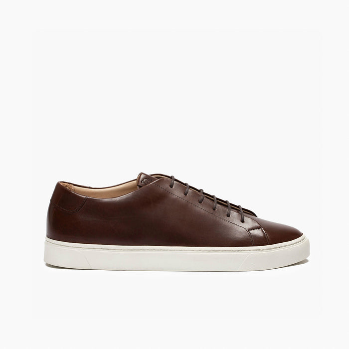 6D Coast Sneaker Tobacco Calf
