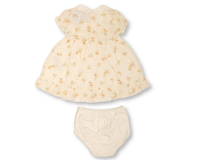 Baby Girls Dress with Flower Print and Pants (NB-9m) (PK6) - BIS-2120-6387