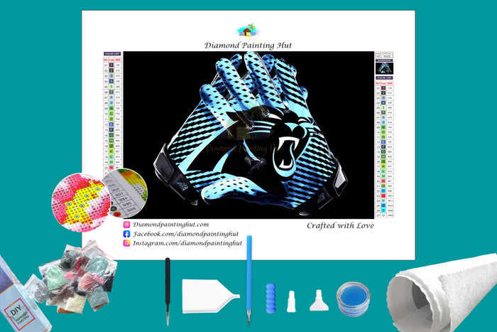 Carolina Panthers NFL Gloves Diamond Painting-Diamond Painting Hut