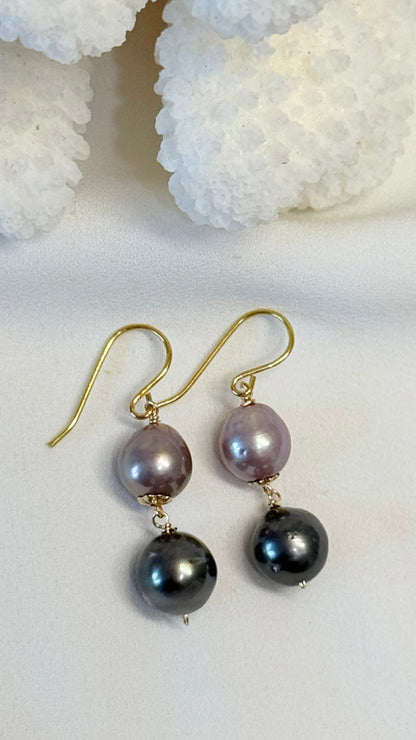 Coco earrings - Edison x Tahitian