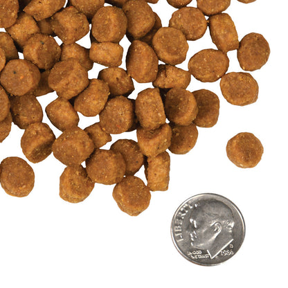 Fromm 4 Star Dry Dog Food - Pork and Pea - Dog.Dog.Cat.