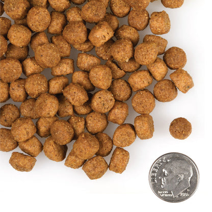 Fromm Gold Dry Dog Food - Large Breed Puppy Formula - Dog.Dog.Cat.