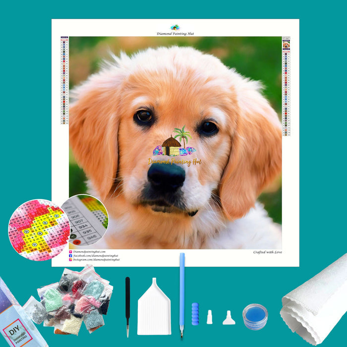 Golden Retriever Puppy Diamond Painting
