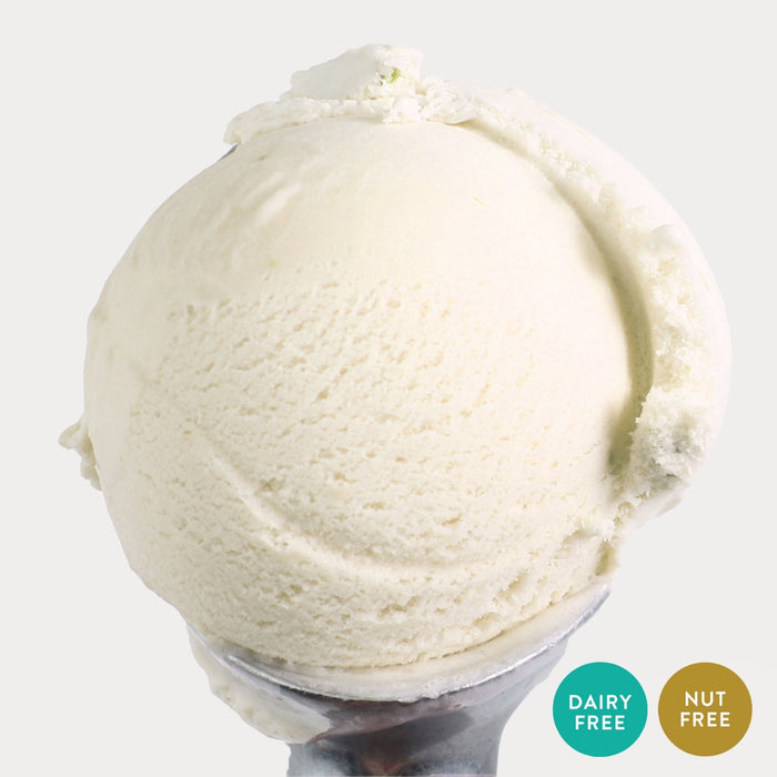 Photo of Lemon Sorbet Ice Cream on an ice cream scooper