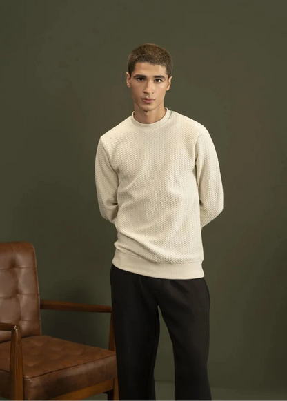 Men's stone textured jacquard sweatshirt, crewneck, long sleeves, ribbed hem