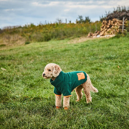 Green Monkey Fleece on a medium dog