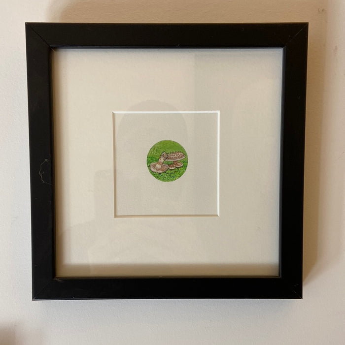 Mushroom Series Miniature Painting of Scaly Hedgehog by Brooke Rothshank