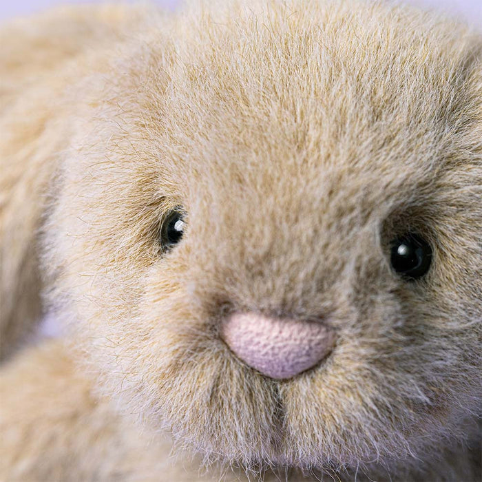 Close-up of a fluffy beige rabbit with a soft focus background
