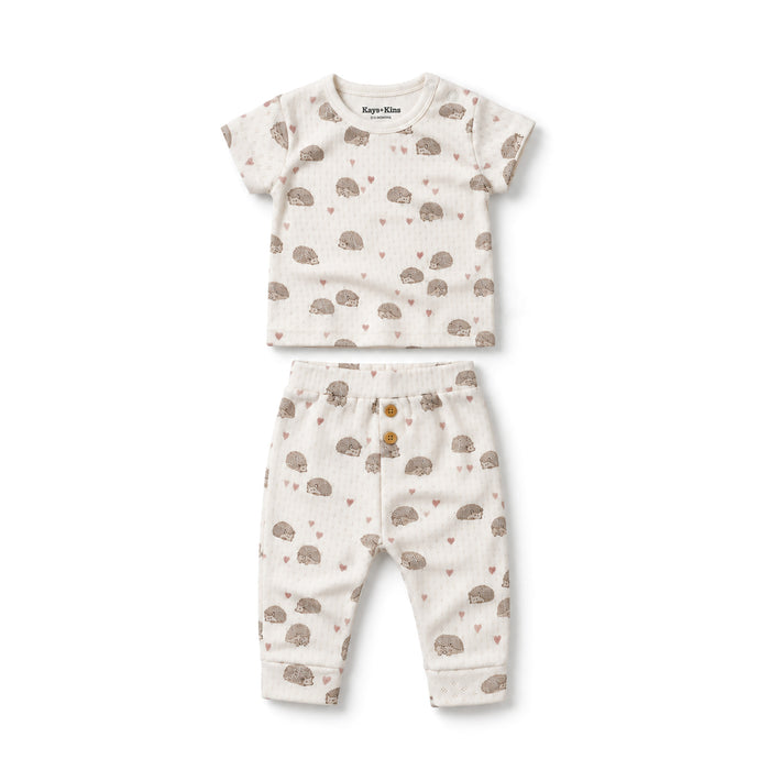 Pointelle Top + Leggings - Hedgehog