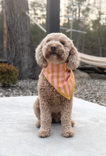 Print Check or Stripe Bandanas