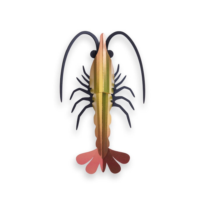 Shrimp - Sunset Yellow