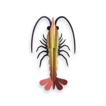Shrimp - Sunset Yellow