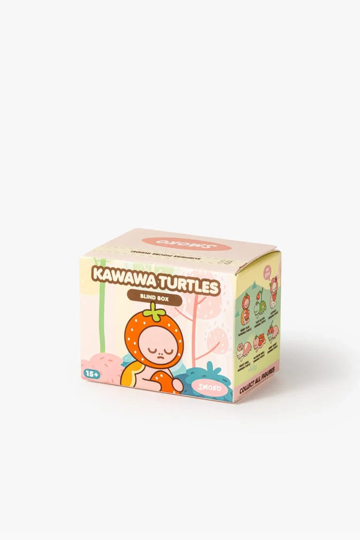 Smoko Kawawa Turtles Blind Box Figure