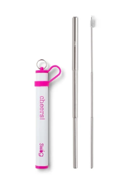 Telescopic Stainless Steel Straw Set