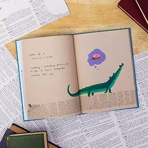 The Dictionary Story