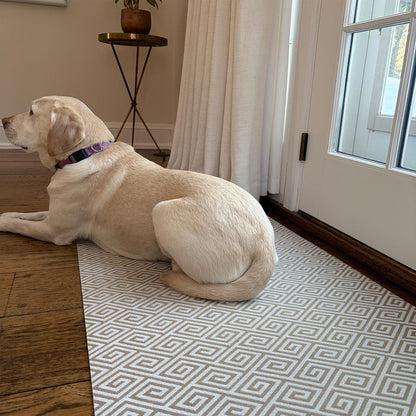 The Insider - Maze II (Biscotti) / Runner